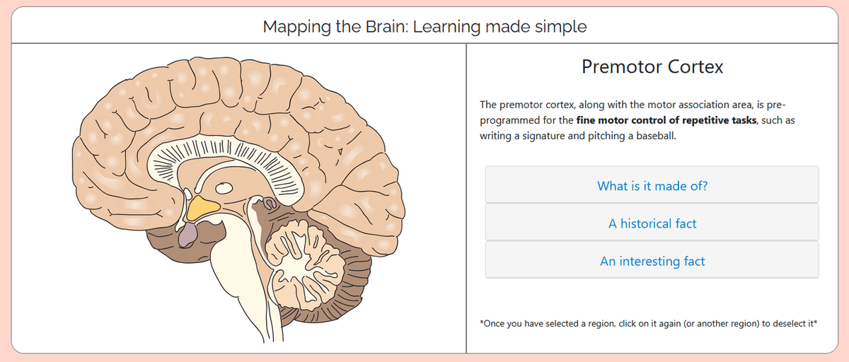 Mapping the Brain